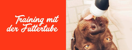 Futtertube für Hunde