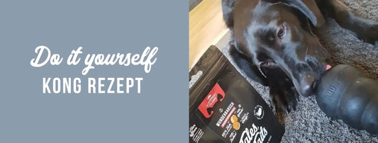 Kong richtig füllen | Kong Rezept für deinen Hunde – Do it yourself!