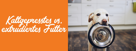 Hundefutter: Kaltgepresst oder extrudiert? - Tales & Tails