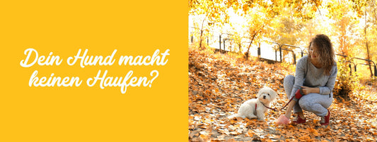 Dein Hund macht keinen Haufen mehr?