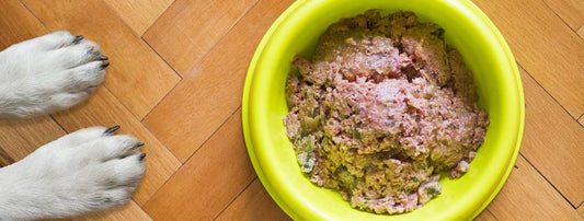 Wie viel Nassfutter braucht ein Hund pro Tag?