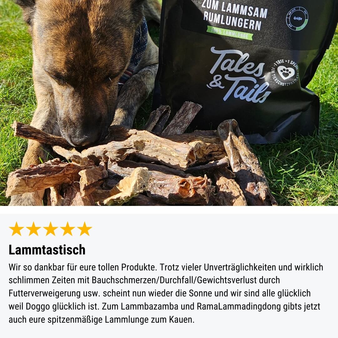 Zum LammSam Rumlungern