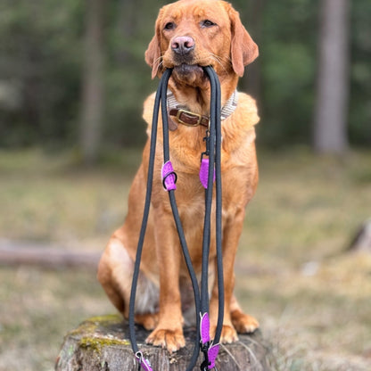 Leinen los - Führleine