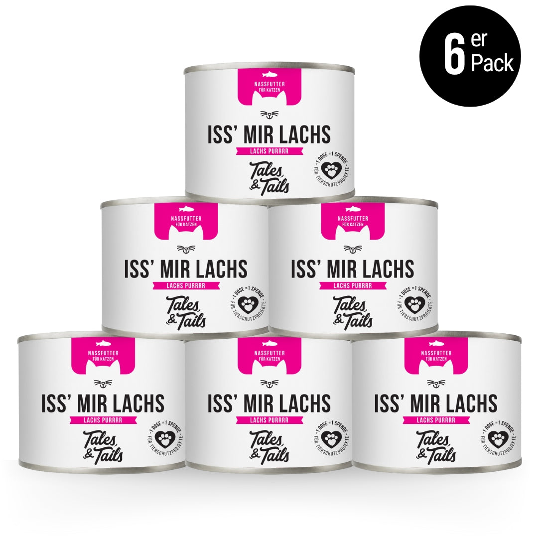 Wie viel sollte deine Katze am Tag trinken? Tales & Tails