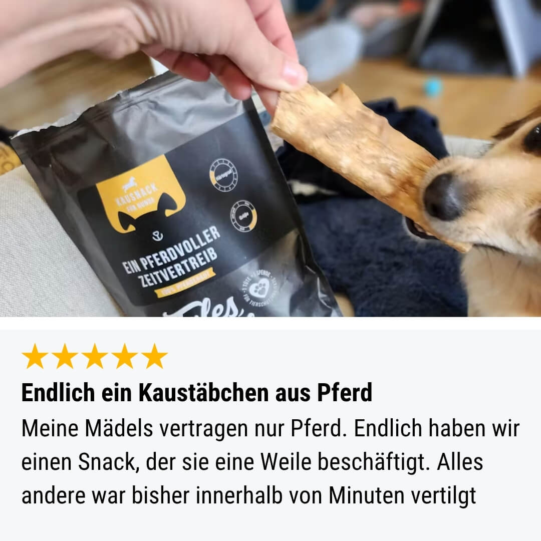 Ein PferdVoller Zeitvertreib