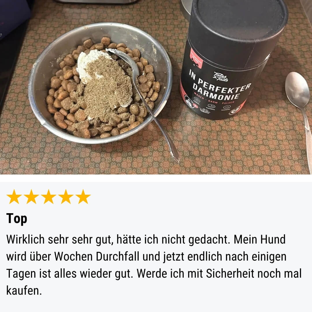 Bauch-Boost-Box