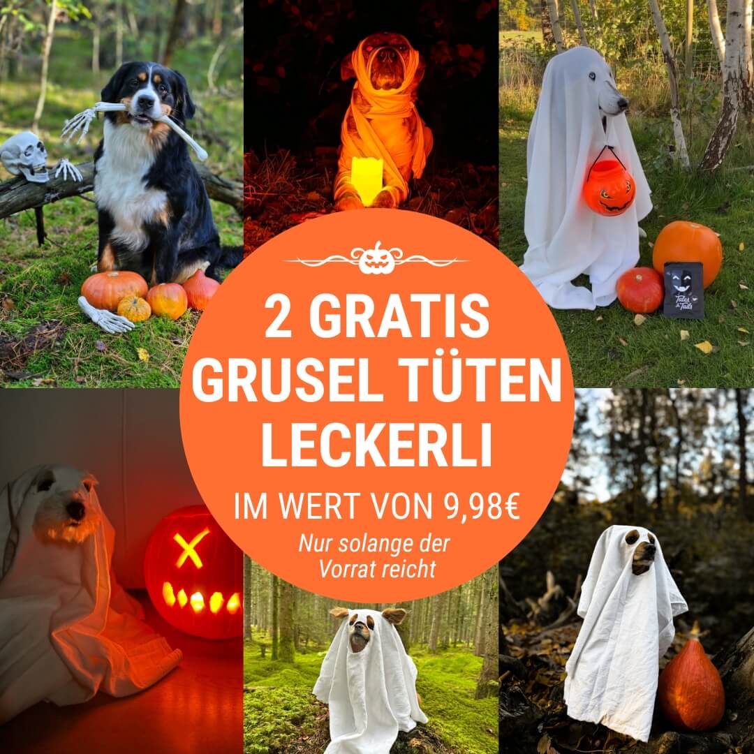Halloween Leckerli