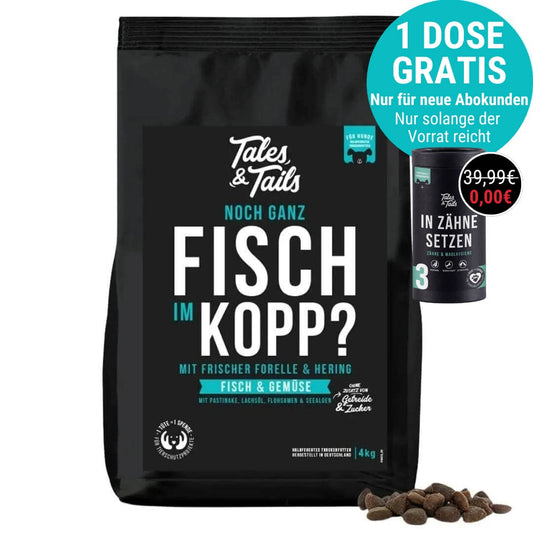 Noch ganz Fisch im Kopp?