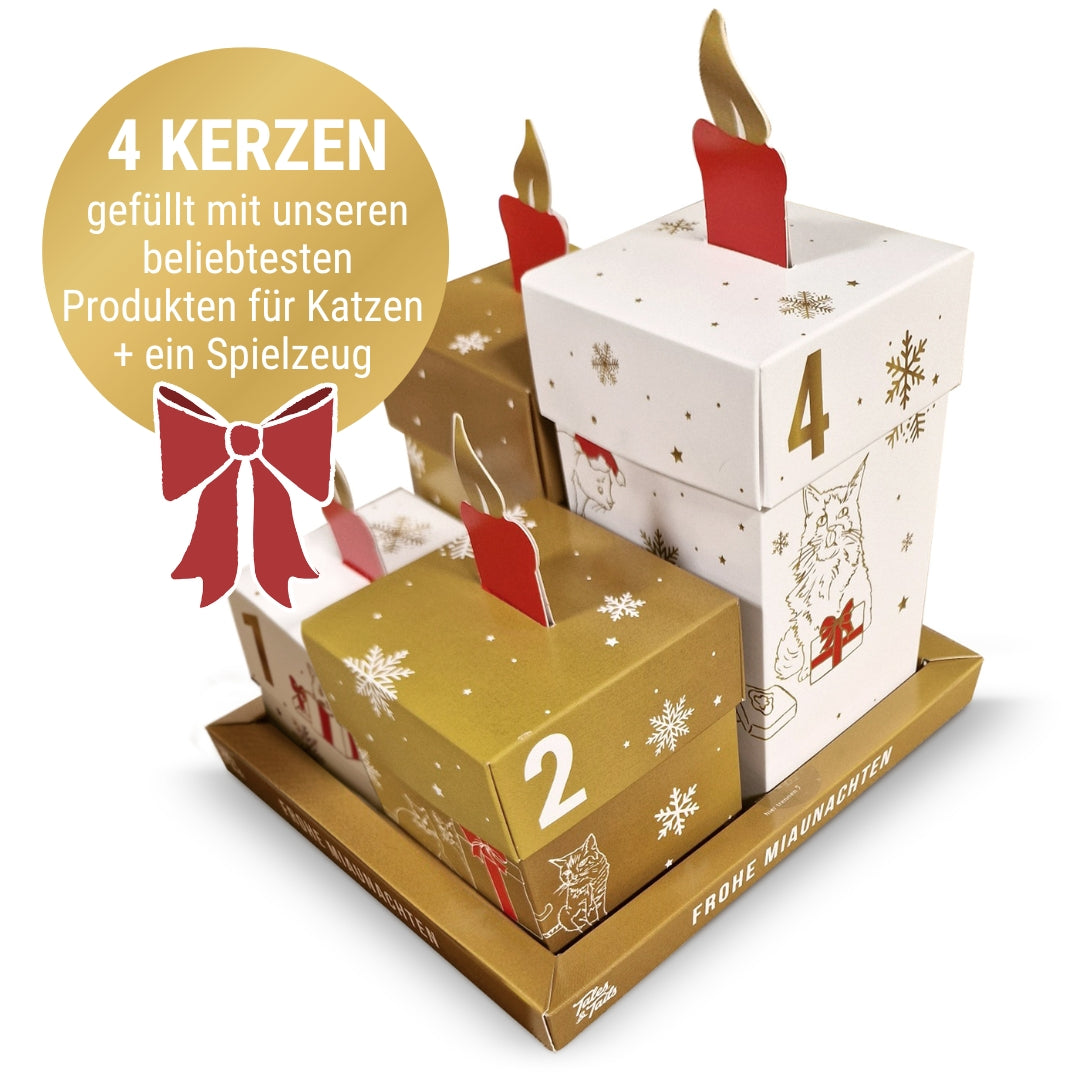 Adventskranz für Katzen