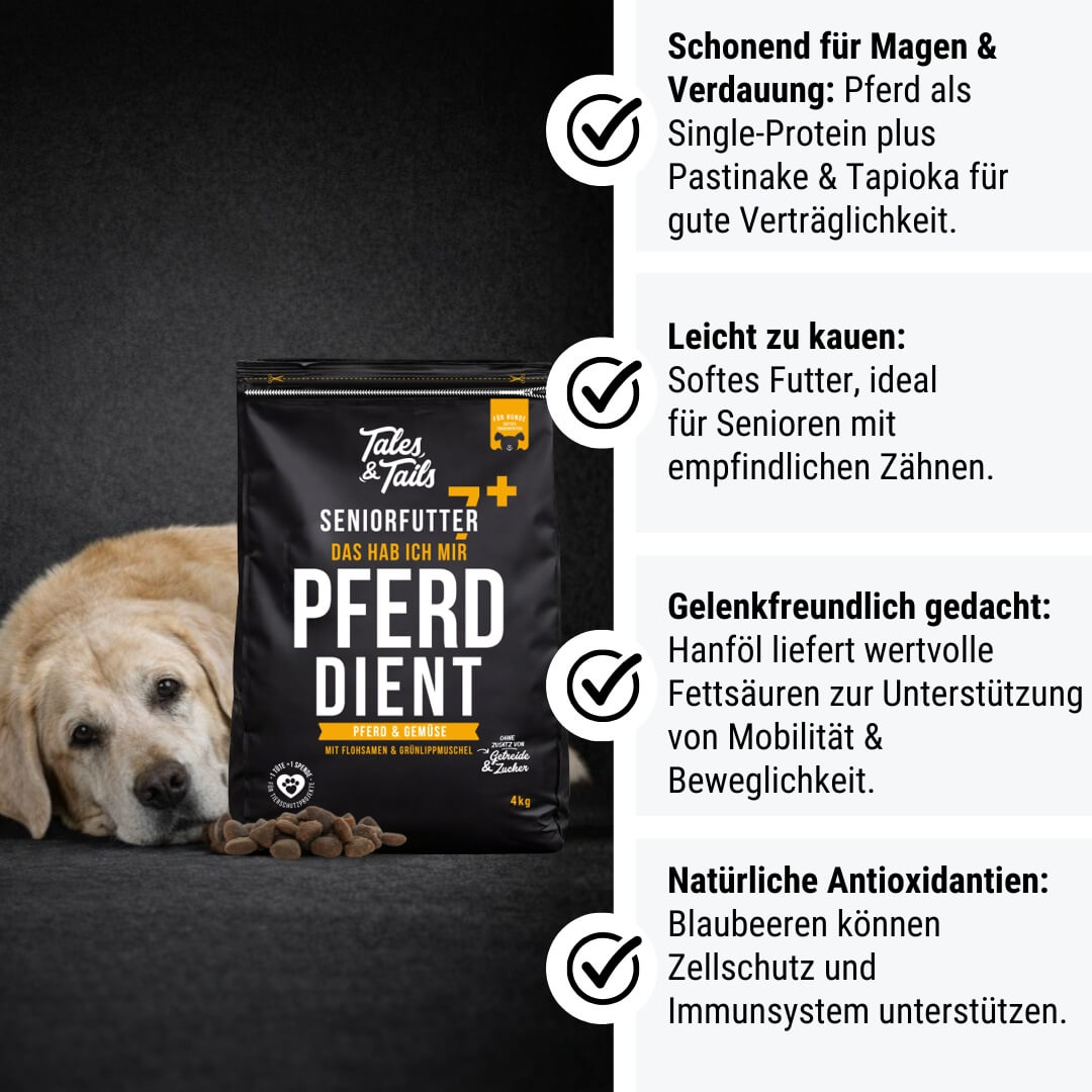 Probe Das hab ich mir PferdDient