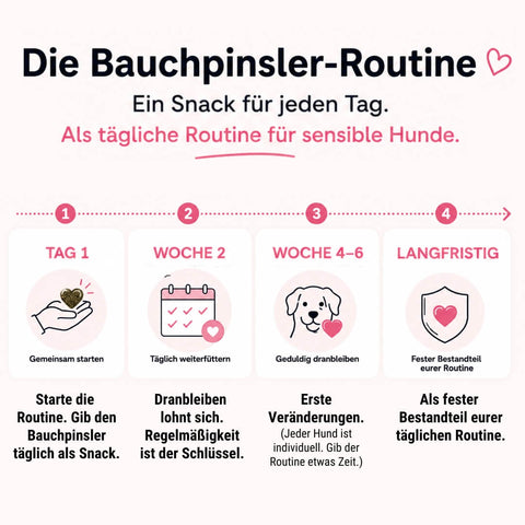 Bauchpinsler