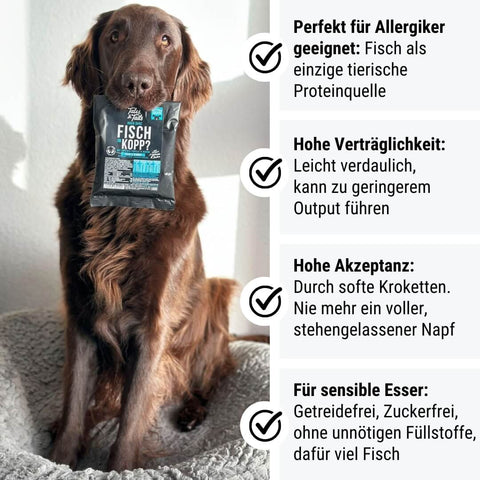 Probe Noch ganz Fisch im Kopp?