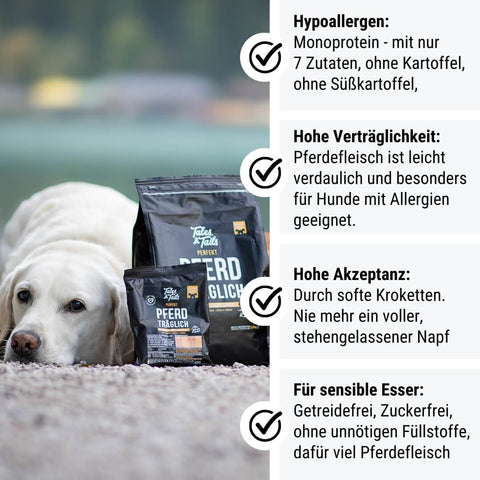 Probe Perfekt PferdTräglich