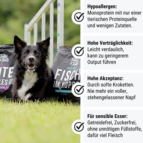 Dreier Paket Trockenfutter 4kg