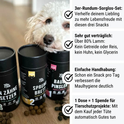 Rundum-Sorglos-Paket