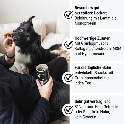 Sprungbrett