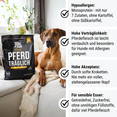 Perfekt PferdTräglich