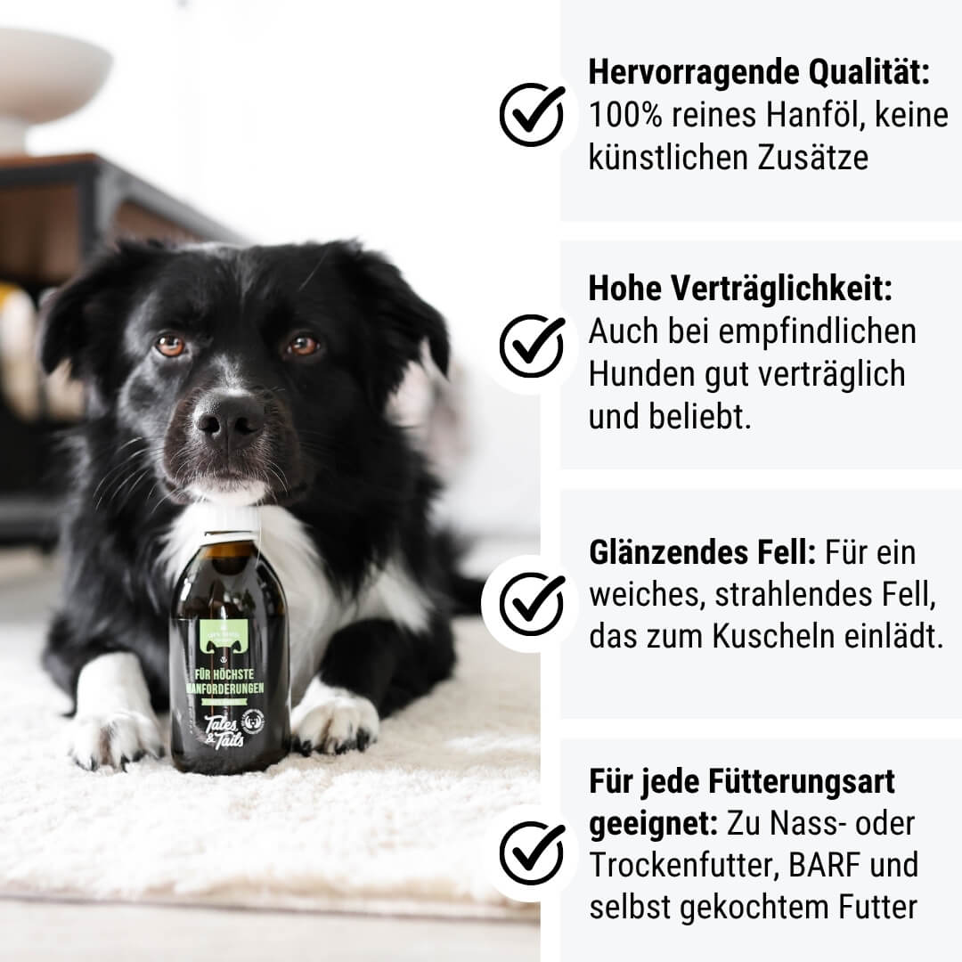Für höchste Hanforderungen