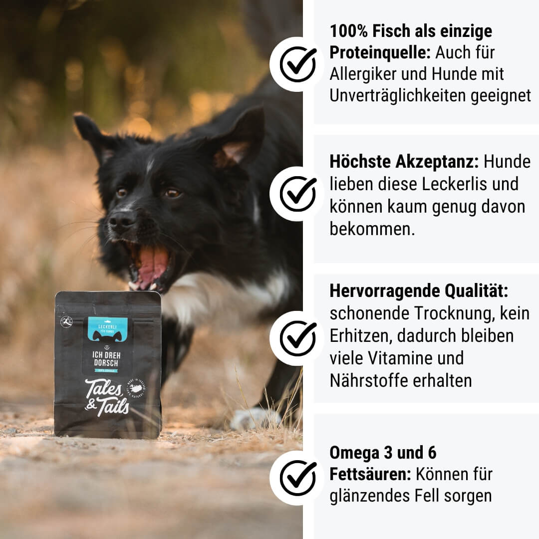 Ich dreh Dorsch