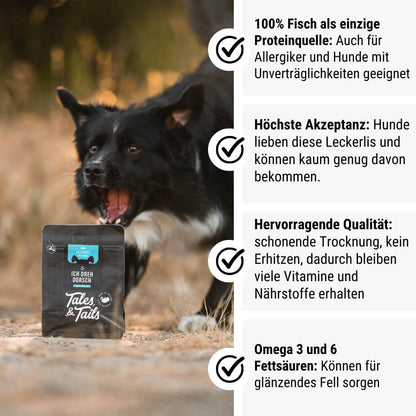 Ich dreh Dorsch