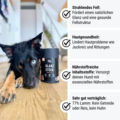 Glanzstück