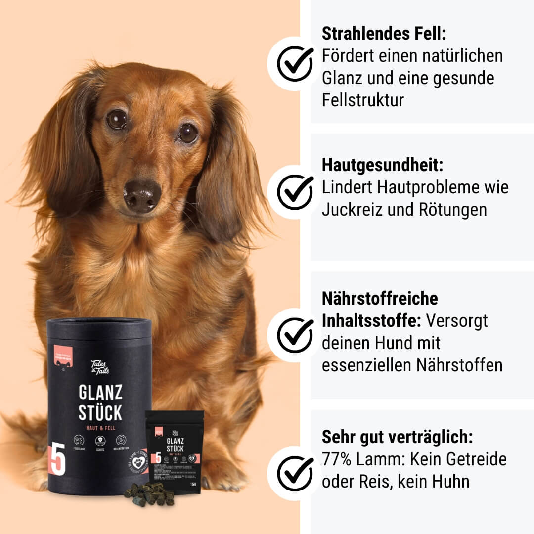 Probe - Glanzstück
