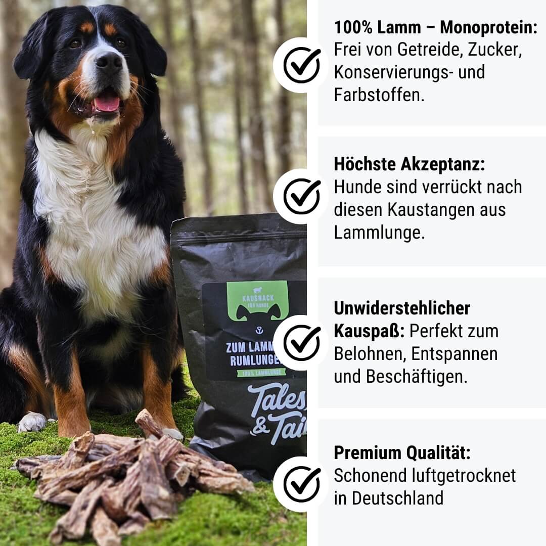 Zum LammSam Rumlungern