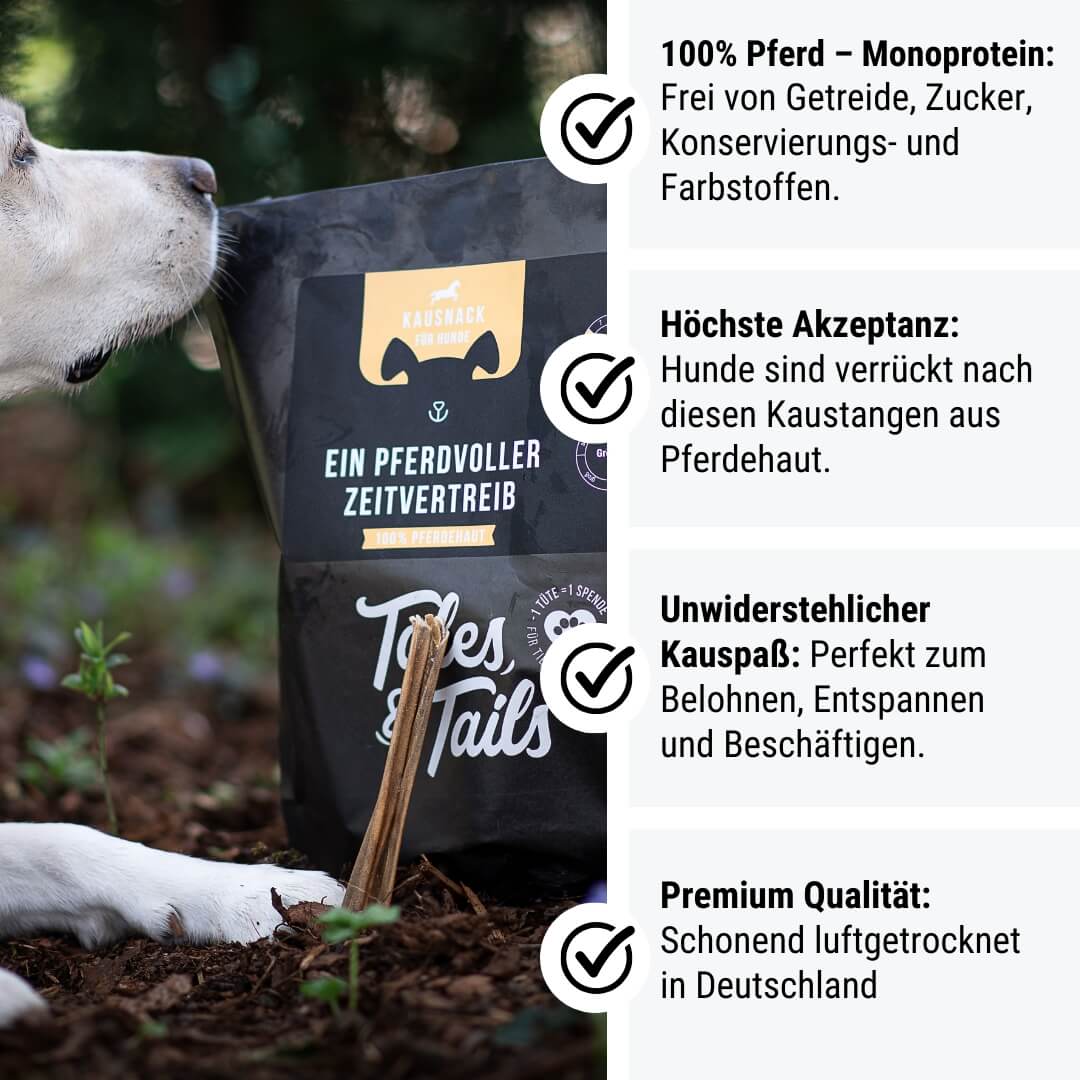 Ein PferdVoller Zeitvertreib