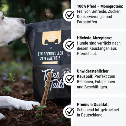 Ein PferdVoller Zeitvertreib