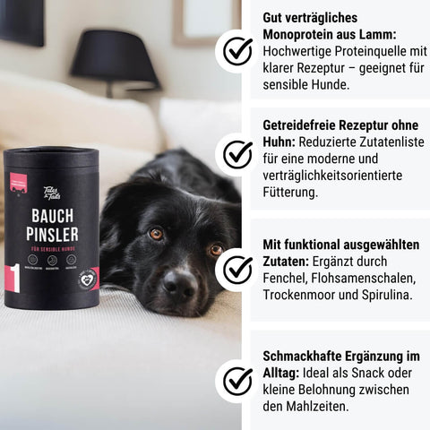 Bauchpinsler