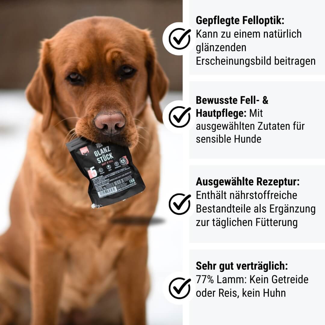 Probe - Glanzstück