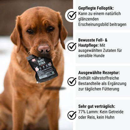 Probe - Glanzstück
