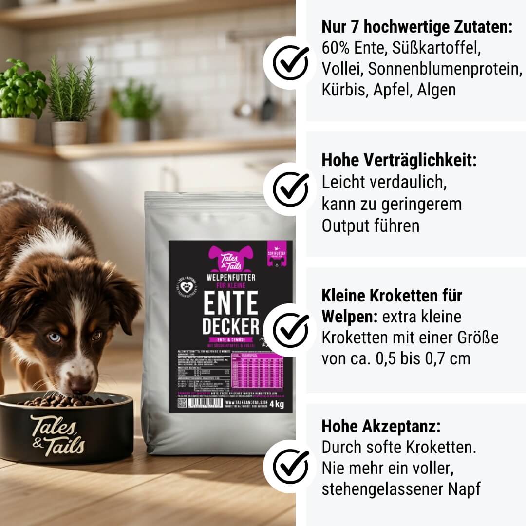 Für kleine EnteDecker