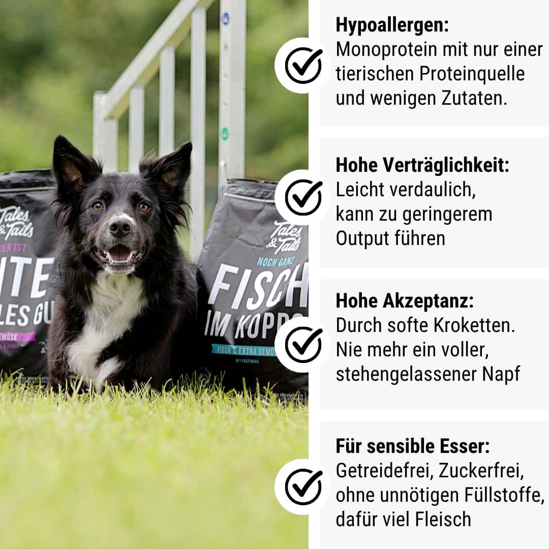 Zweier Paket Trockenfutter 4kg
