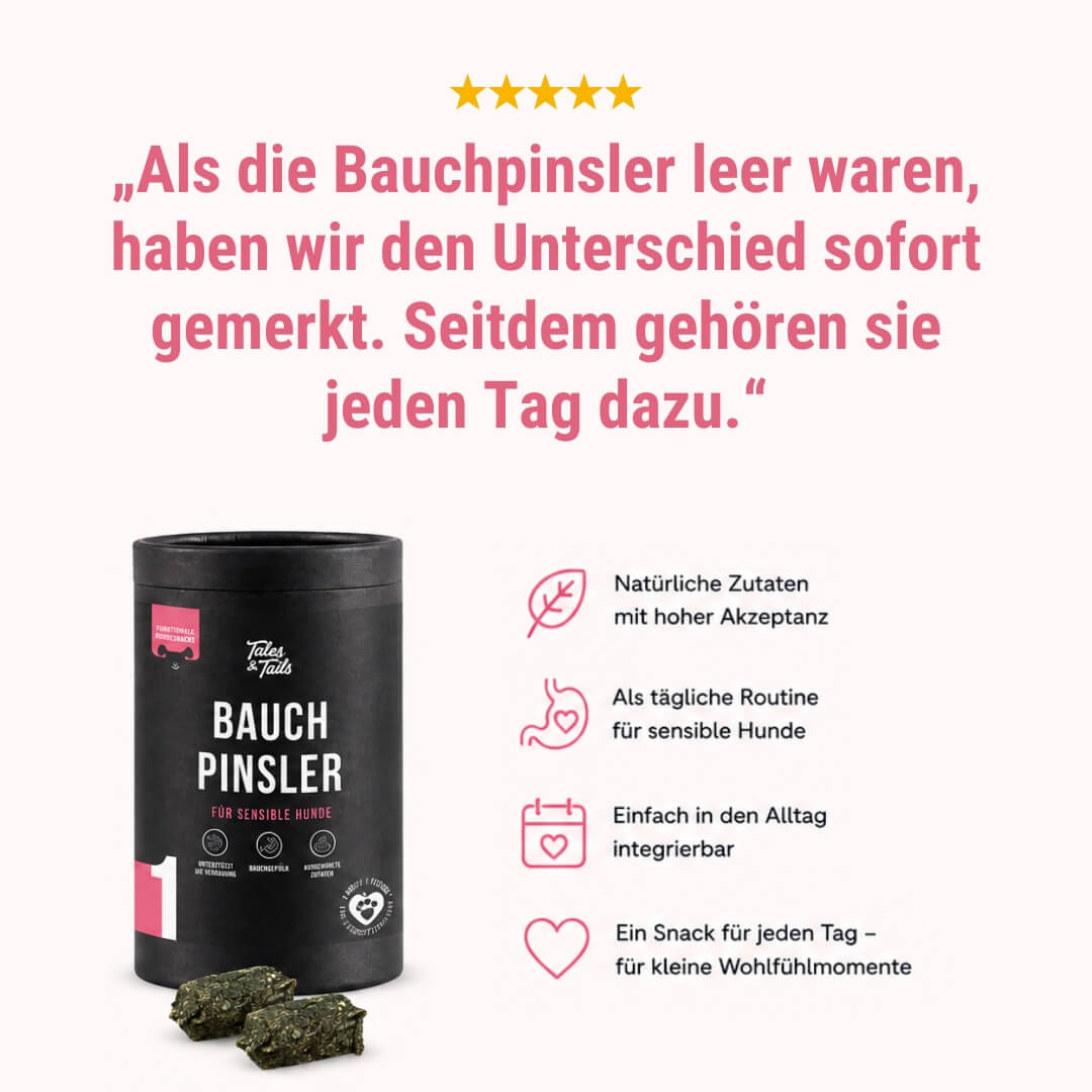 Bauchpinsler