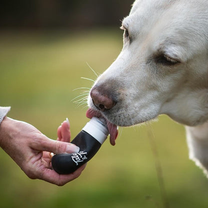 Starterset Training mit der Futtertube - enthält eine Futtertube für Hunde mit Nassfutter aus Fisch zum Befüllen