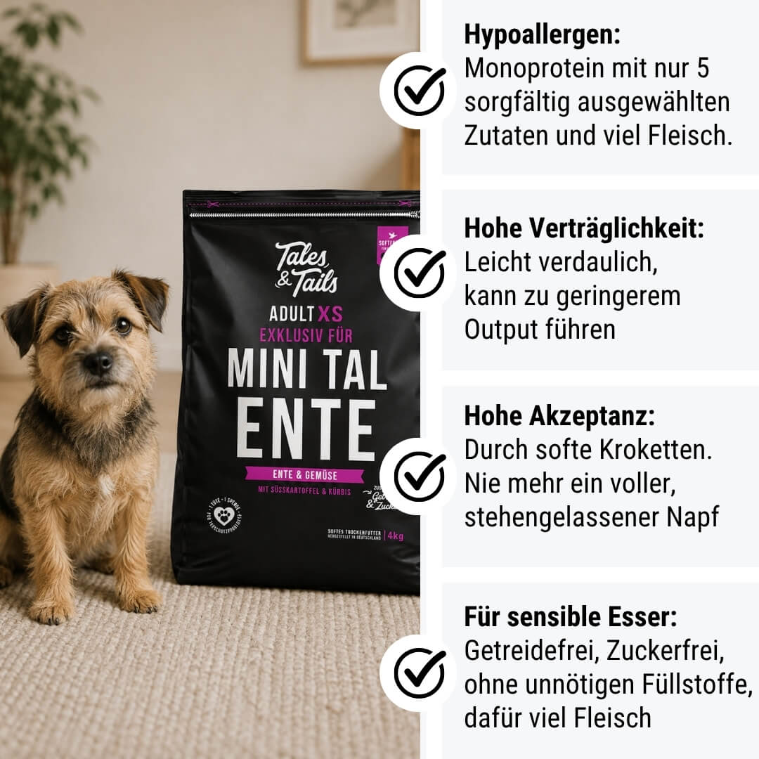 Exklusiv für Mini TalEnte
