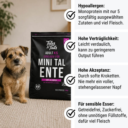 Exklusiv für Mini TalEnte