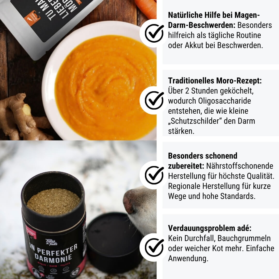 Bauch-Boost-Box