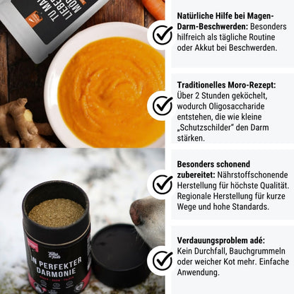 Bauch-Boost-Box