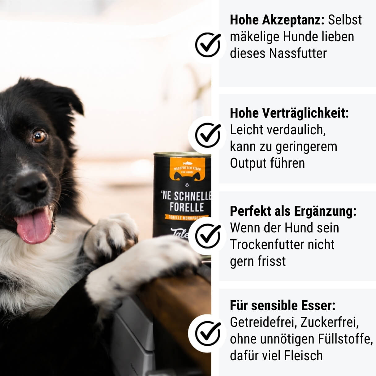 Ne schnelle Forelle