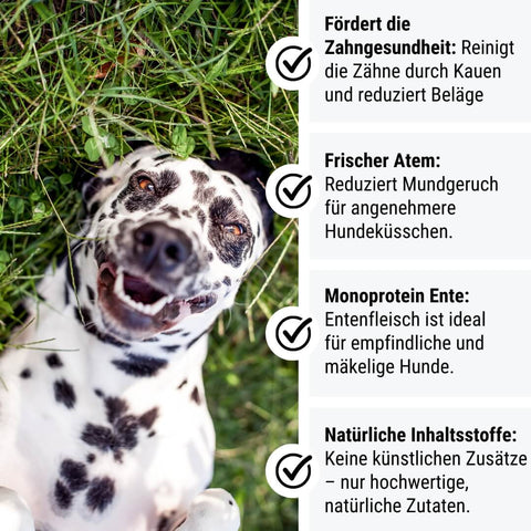 EnteLich Zähne zeigen