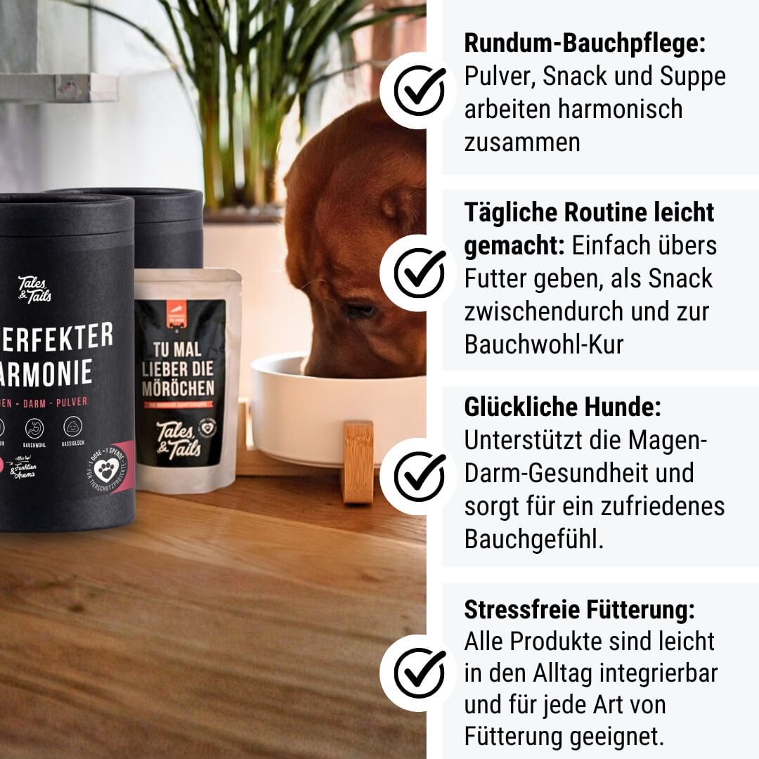 welches zelt magen darm Magen-Magie Box – Tales & Tails