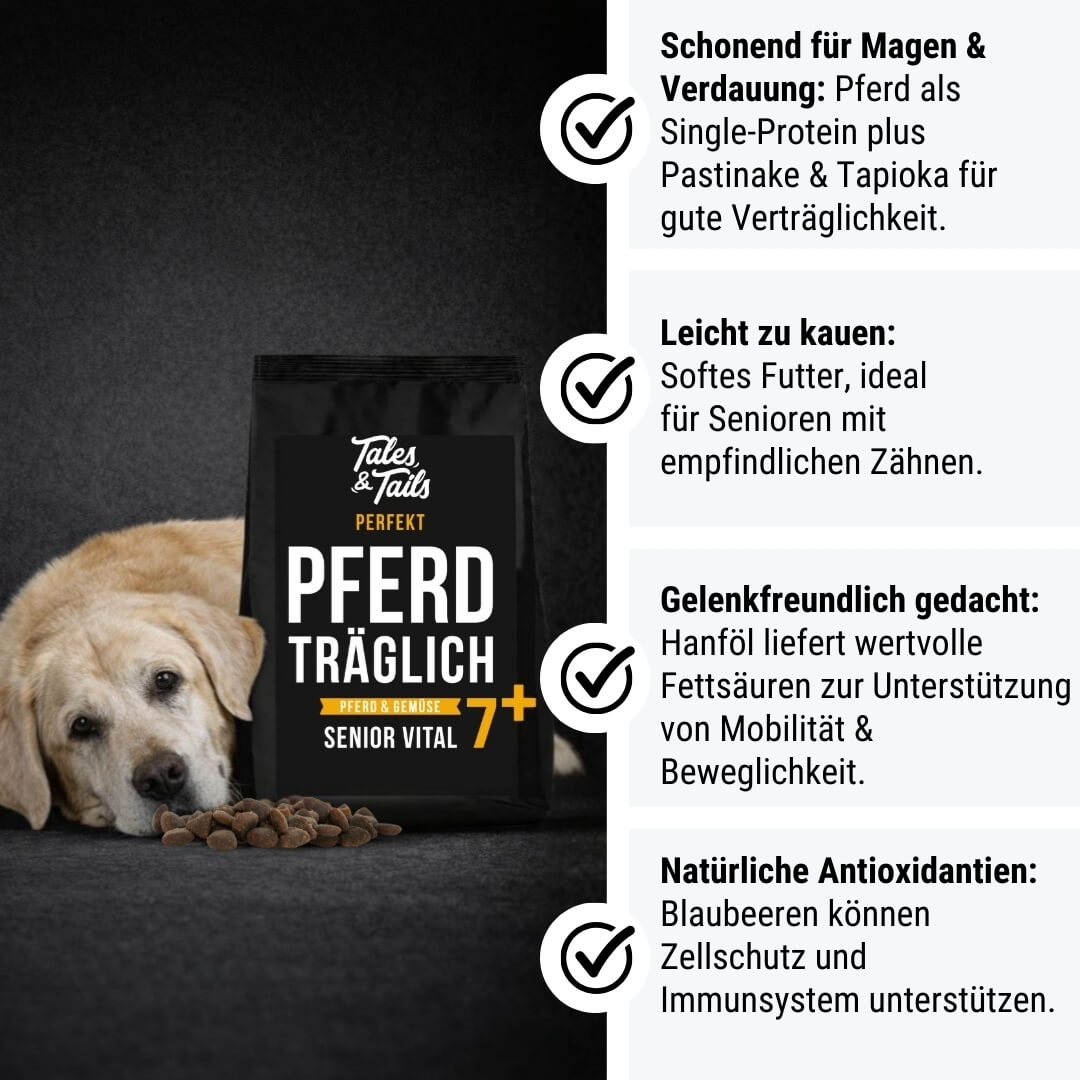Perfekt PferdTräglich - Senior