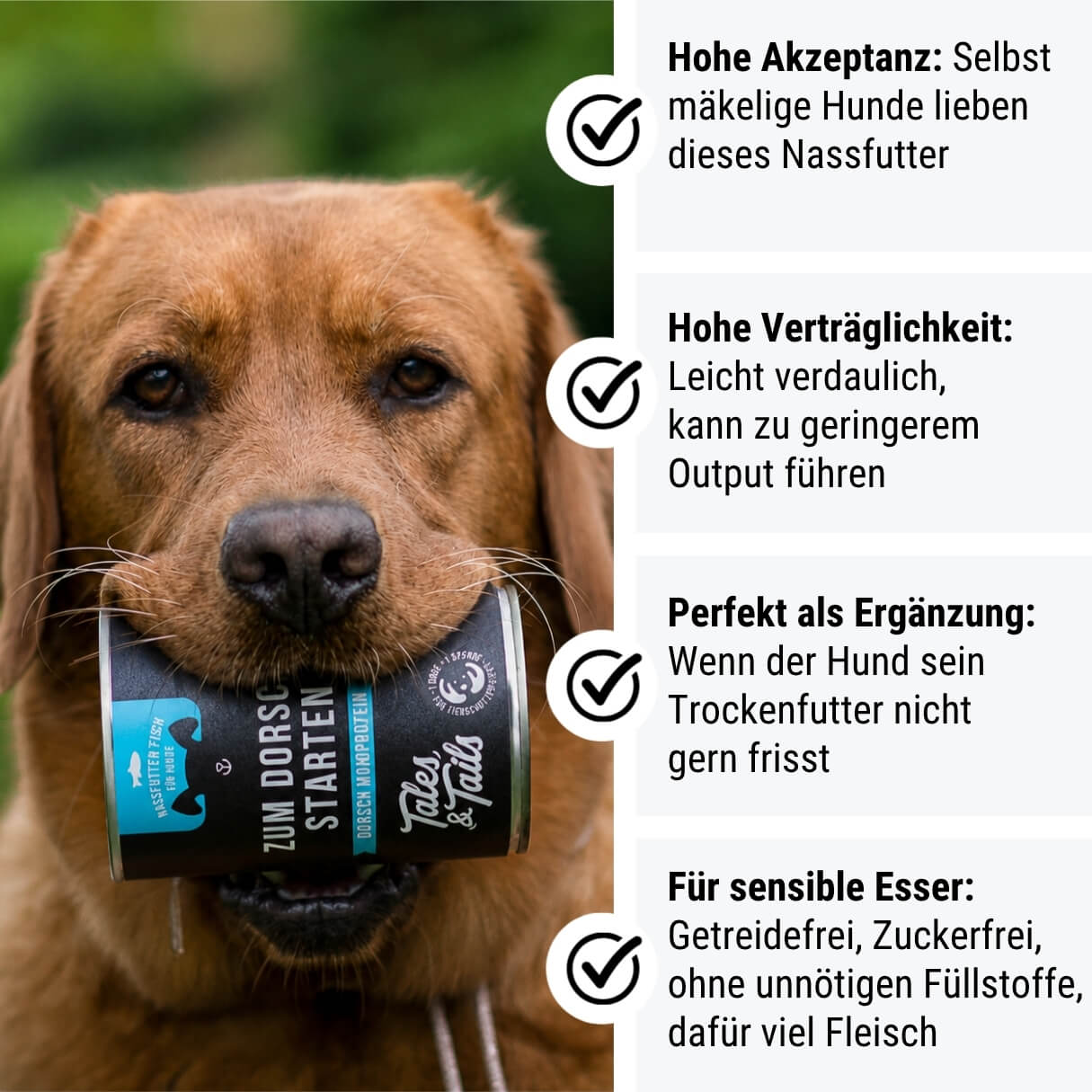 Zum Dorschstarten