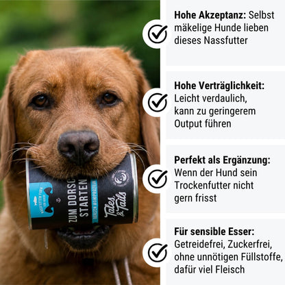 Zum Dorschstarten