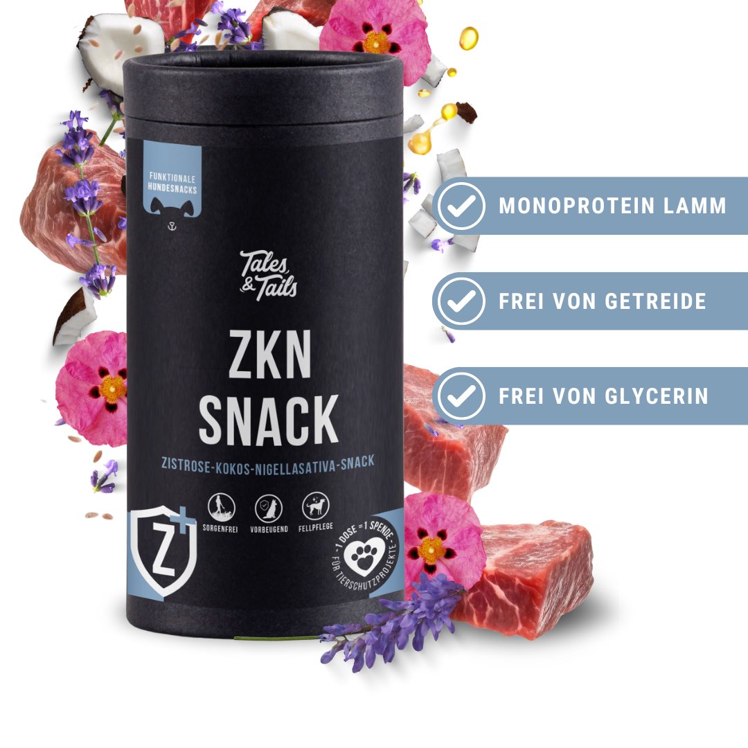 ZKN - Snack