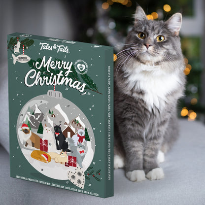 Adventskalender für Katzen