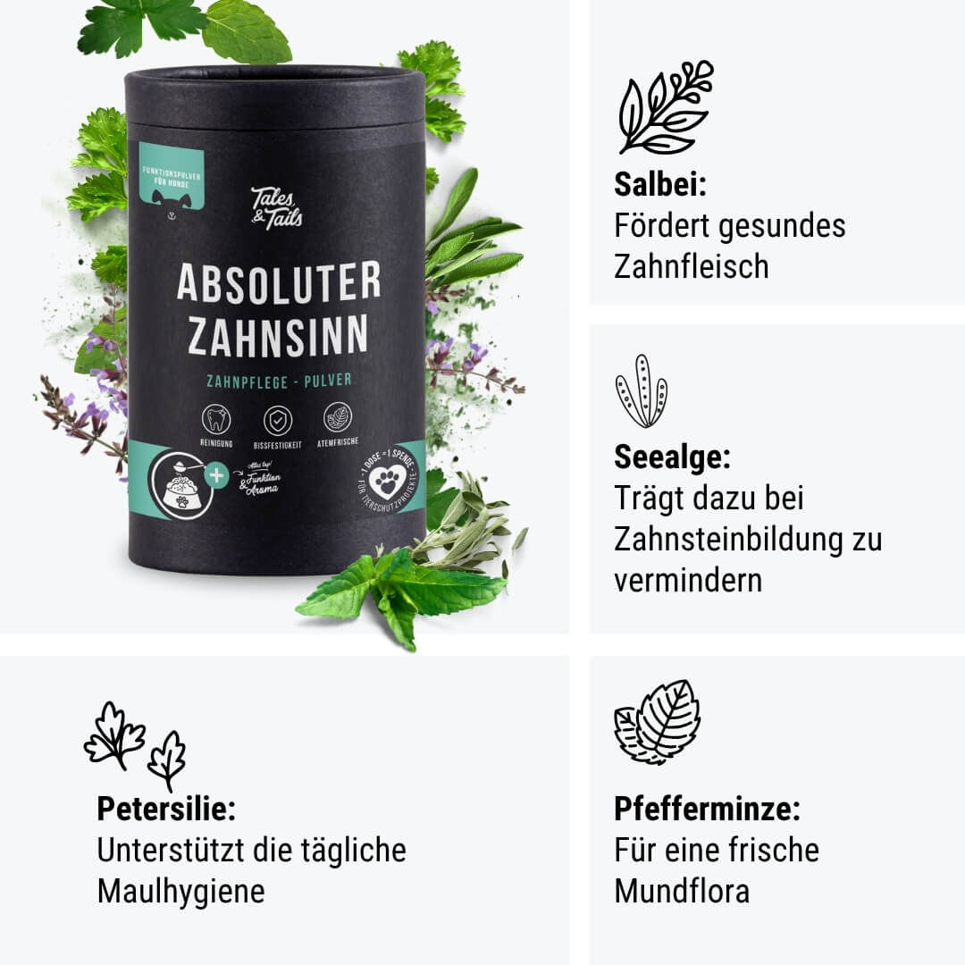 Atemfrisch-Paket