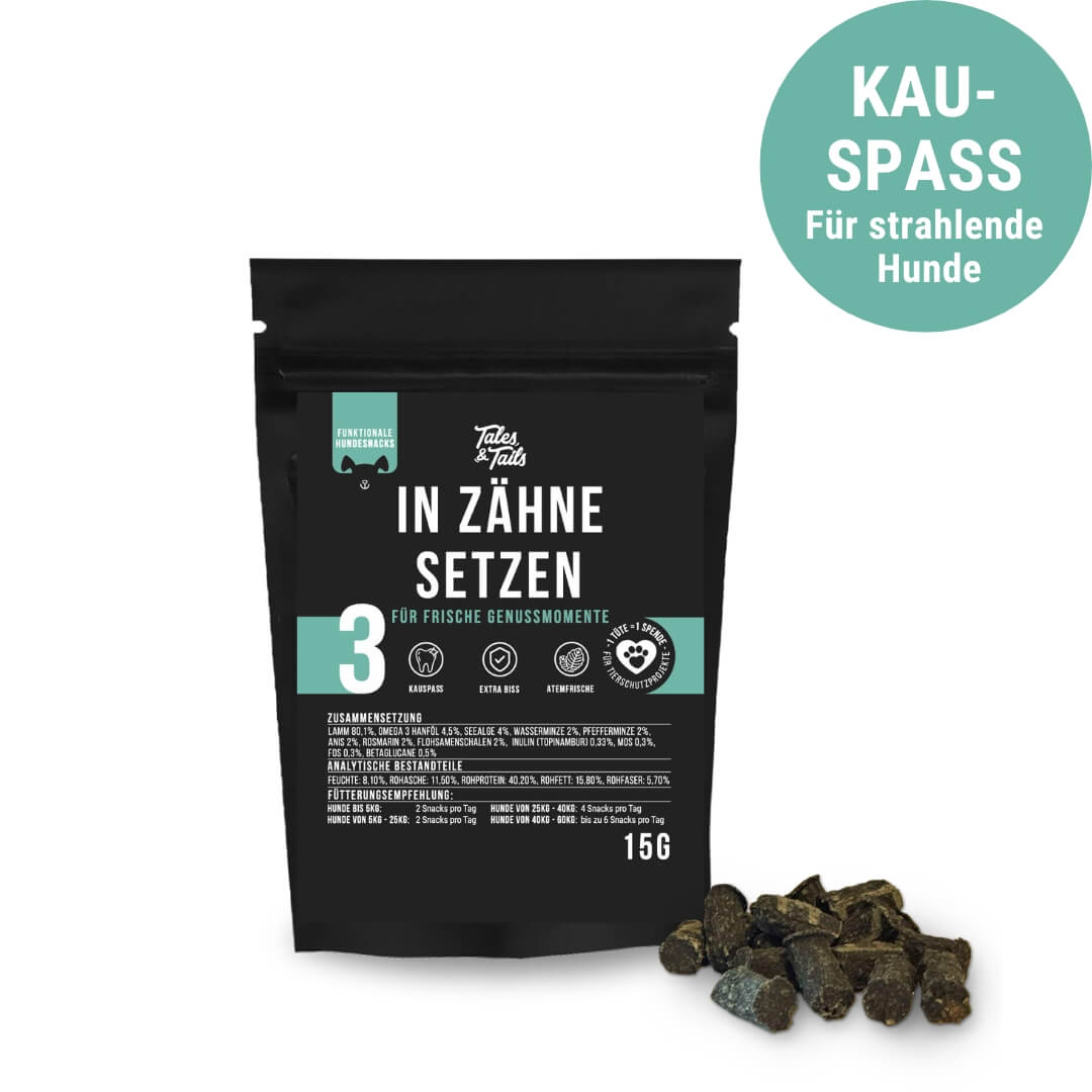 Probe - In Zähne setzen